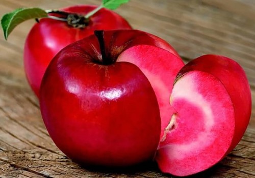 قیمت سیب درختی تو سرخ با کیفیت ارزان + خرید عمده